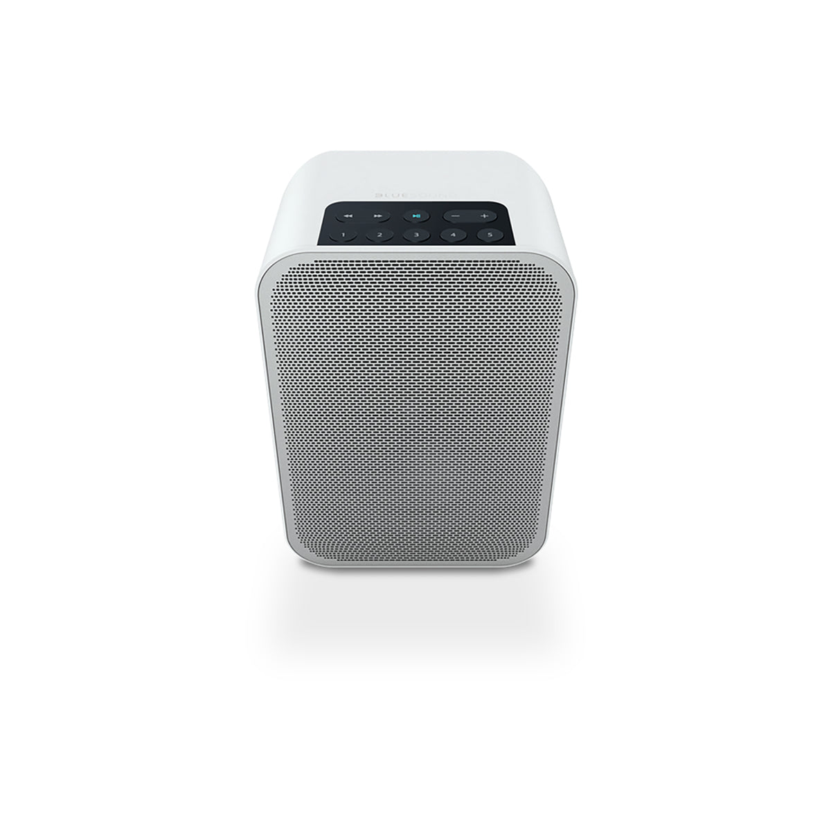 PULSE FLEX – Bluesound